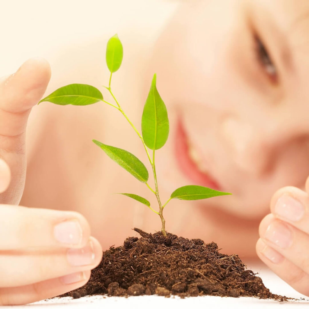 Young kid growing a plant